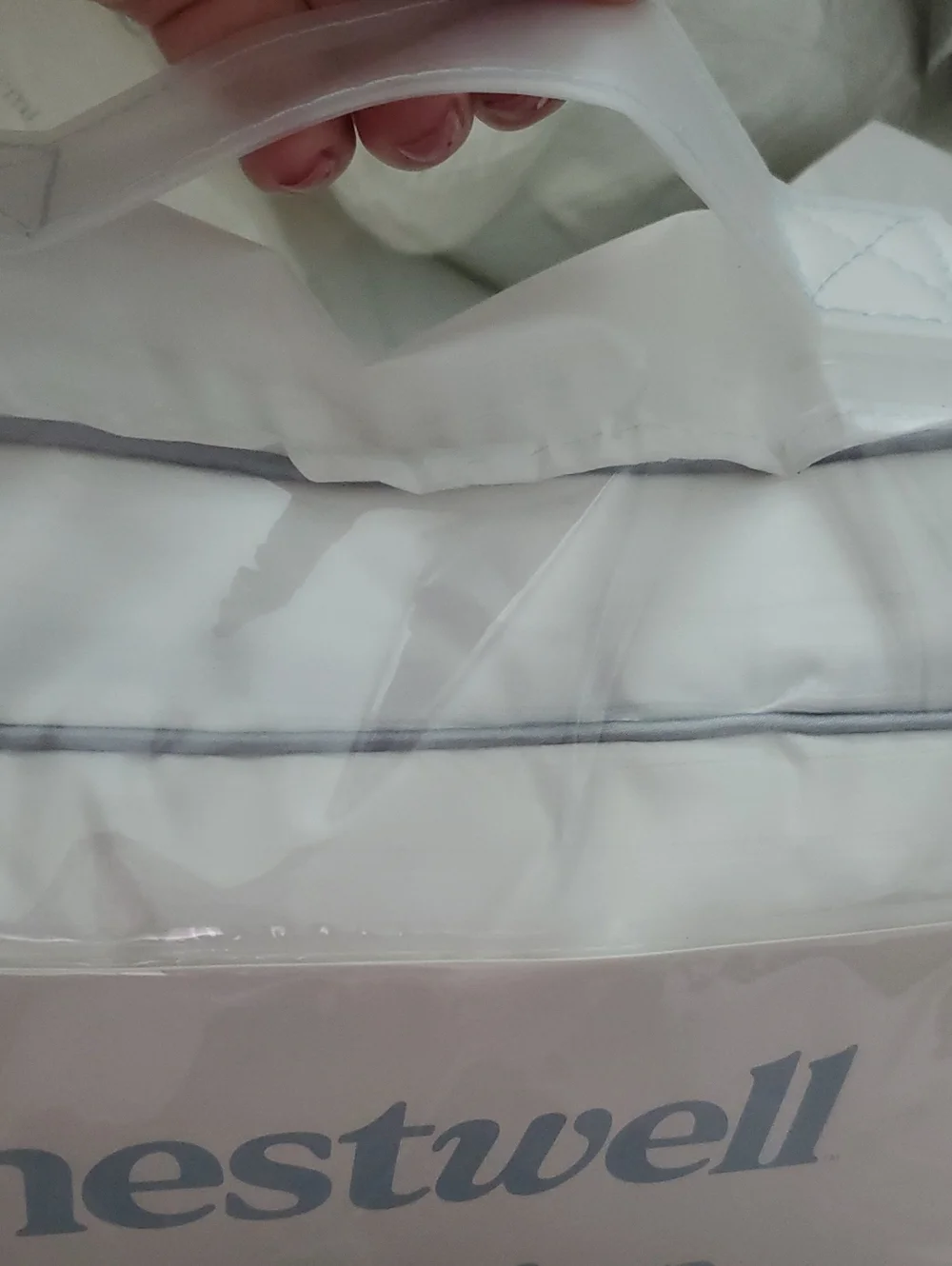 New Nestwell Egyption Cotton Firm Support Standard/Queen 1 Pillow.